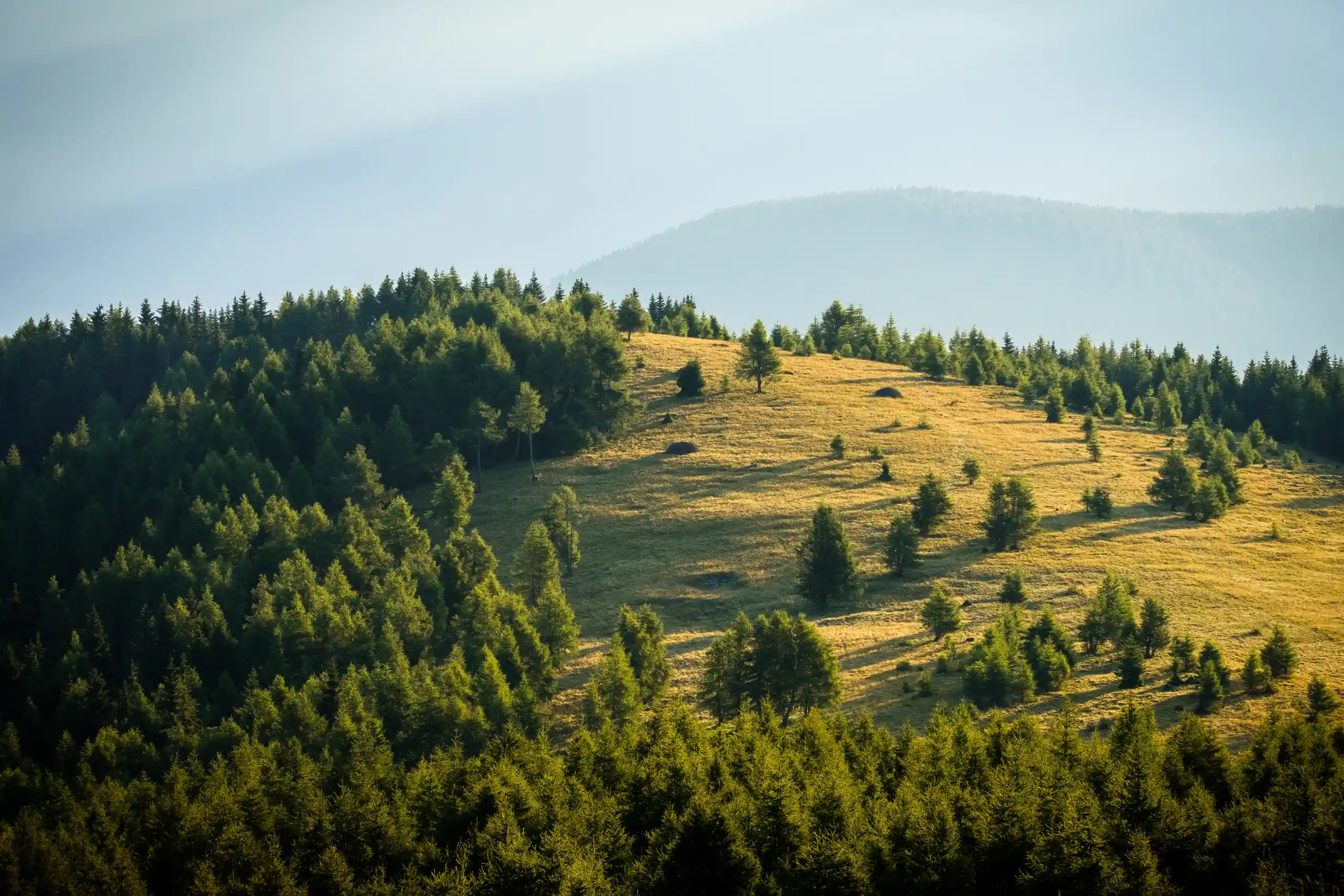 Montagna Valle dei Mòcheni