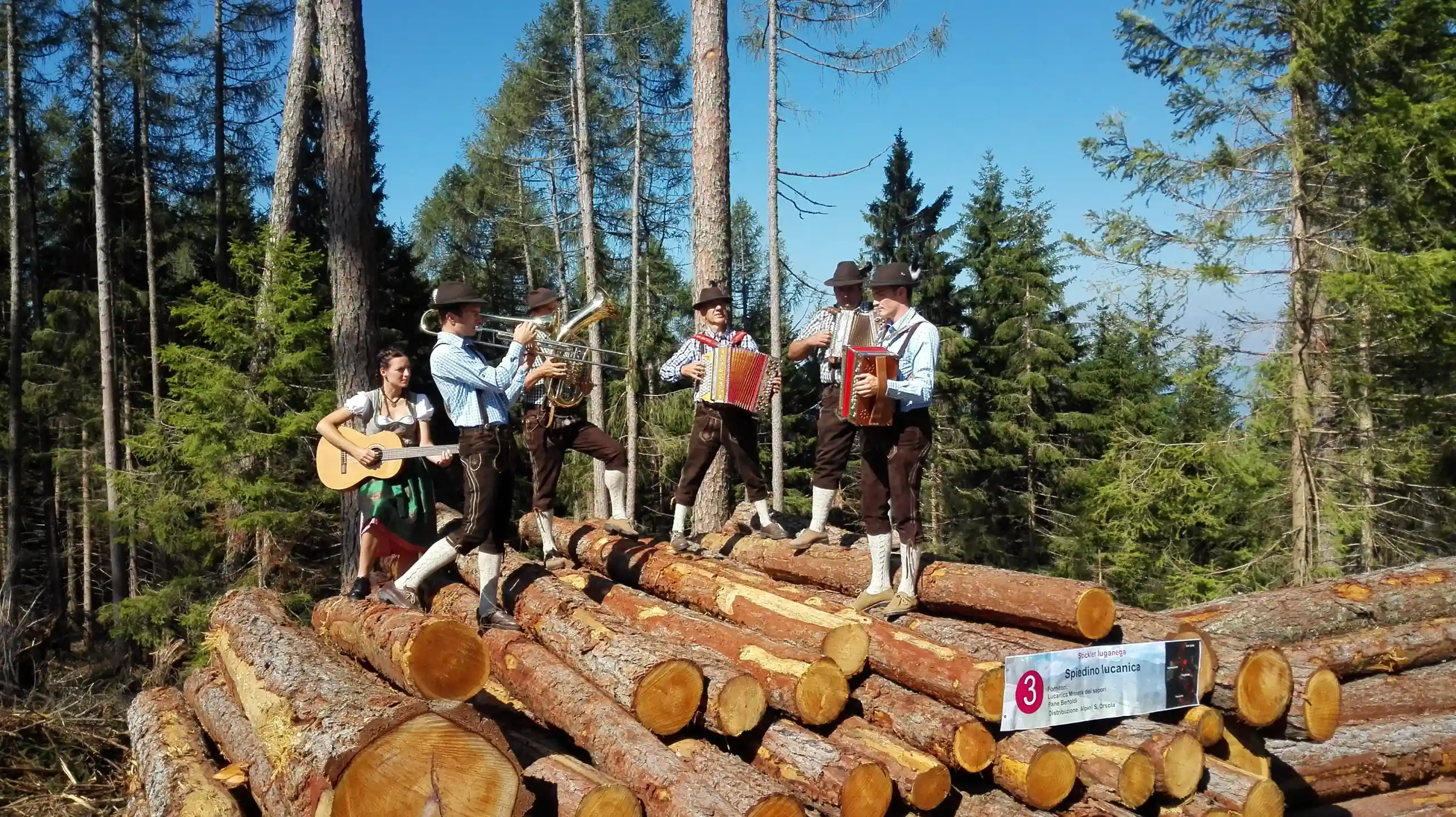 Palaearlearmusikantn
