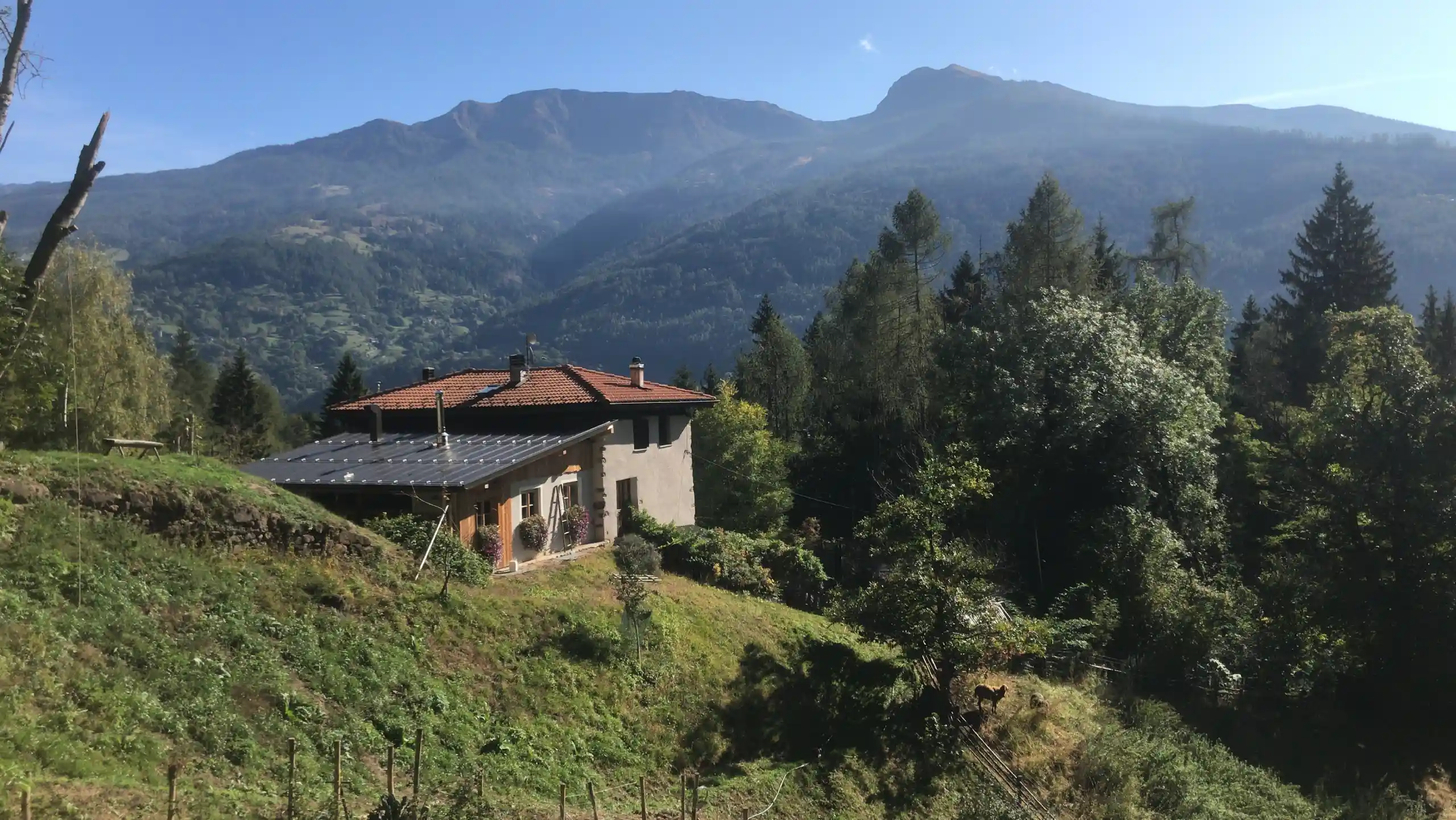 Mas del Saro
