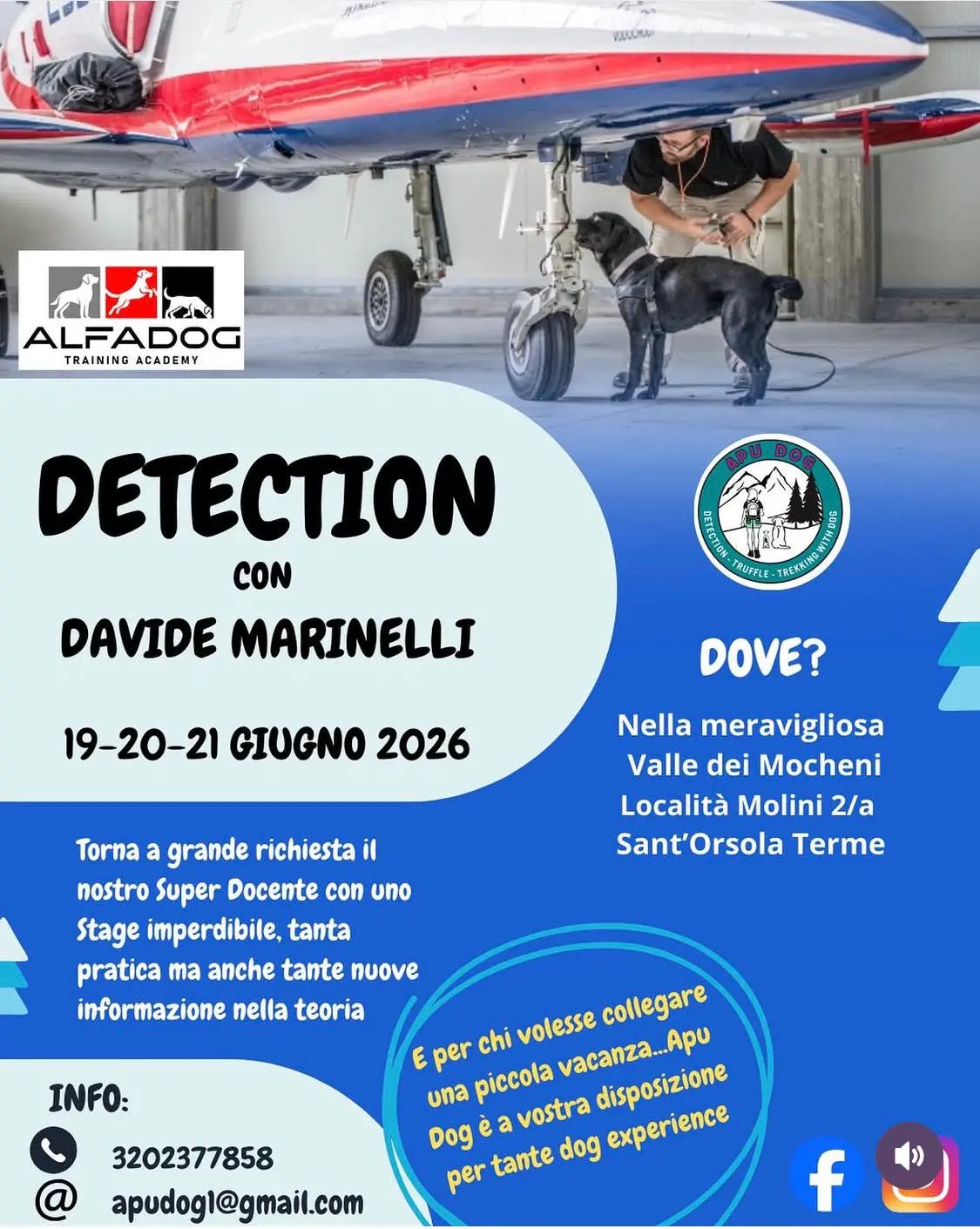 Detection